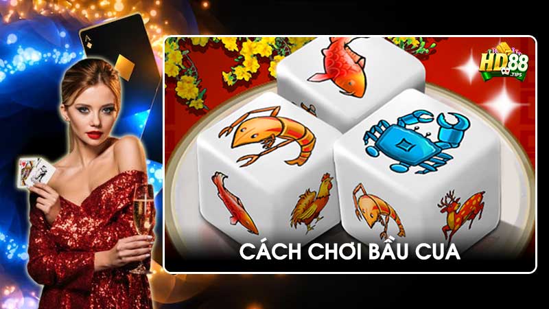 Cách chơi Bầu Cua