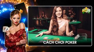 Hướng dẫn cách chơi Poker nắm vững chiến thuật, tăng 80% tỷ lệ thắng