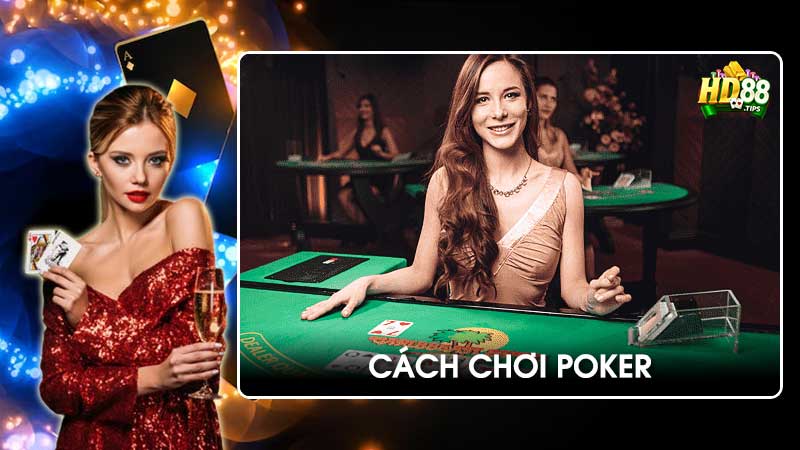 Hướng dẫn cách chơi Poker nắm vững chiến thuật, tăng 80% tỷ lệ thắng