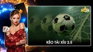 Kèo Tài Xỉu 2.5 là gì? Hướng dẫn cách chơi chuẩn dân soi kèo chuyên nghiệp