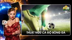 Giải mã thuật ngữ cá độ bóng đá hiểu sâu từng kèo, thắng lớn dễ dàng